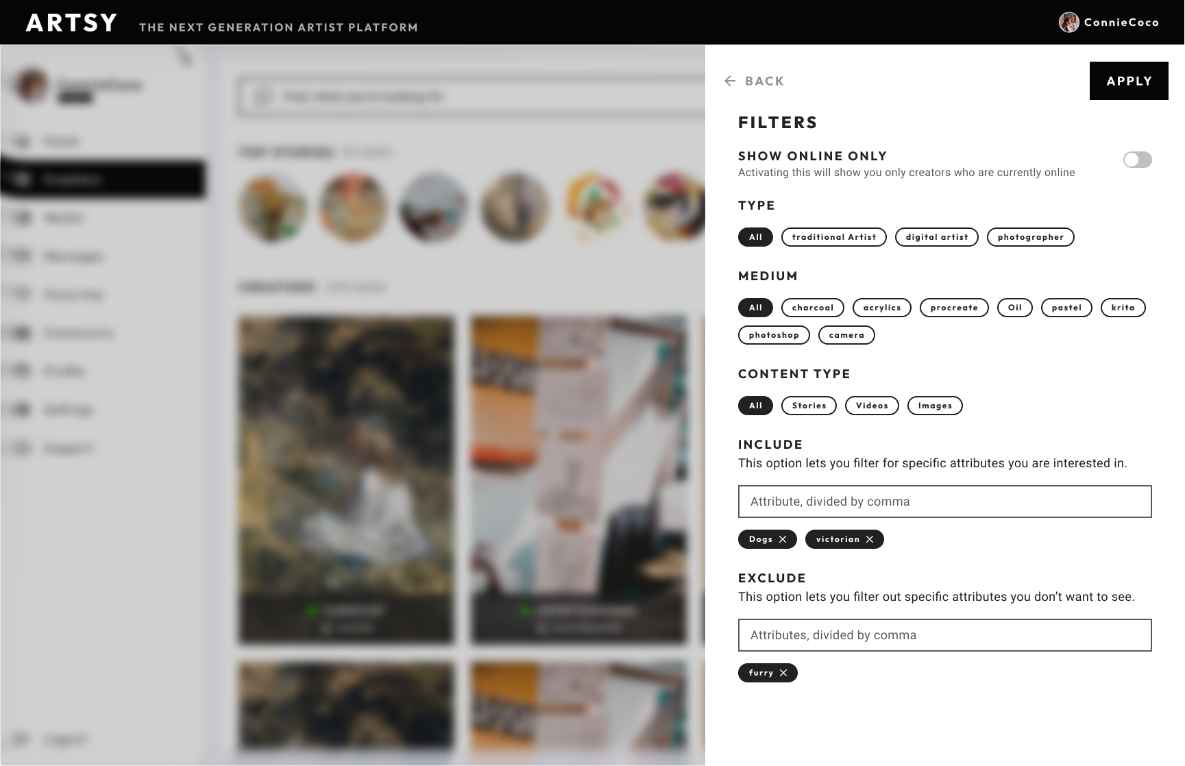 Screenshot of ARTSY filter concept